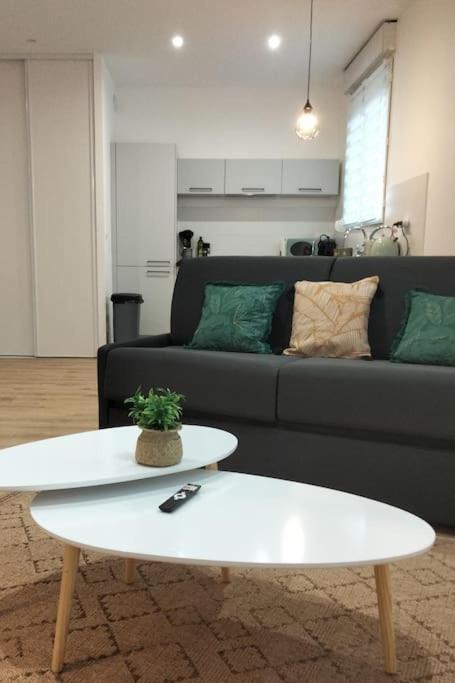 L'Escale Balzac Apartment วีเลอร์บาน ภายนอก รูปภาพ